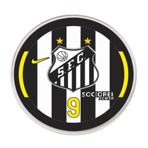 Jogo do Santos - 2015