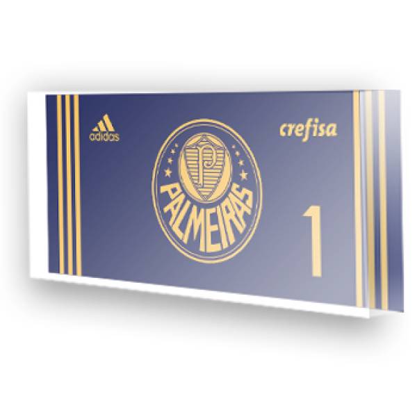 Goleiro do Palmeiras - 2015