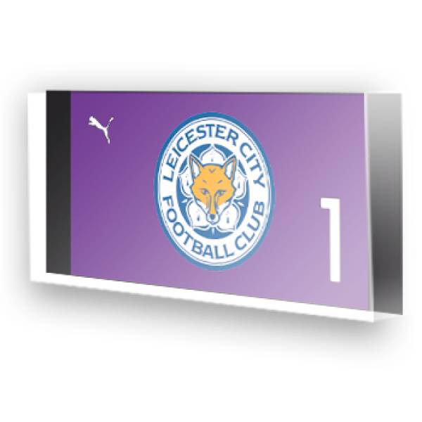 Goleiro do Leicester City