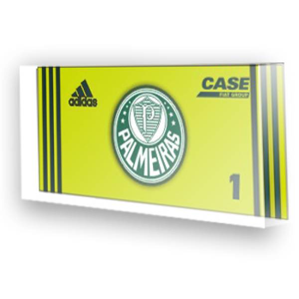 Goleiro do Palmeiras