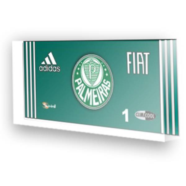 Goleiro do Palmeiras