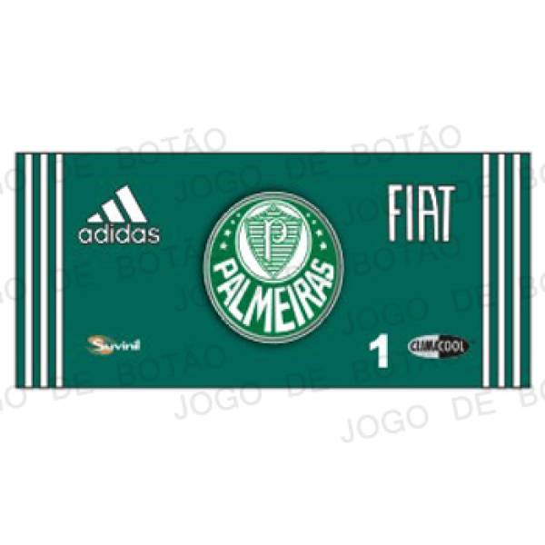 Goleiro do Palmeiras
