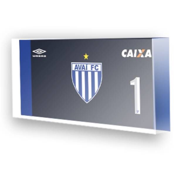 Goleiro do Avaí - 2017