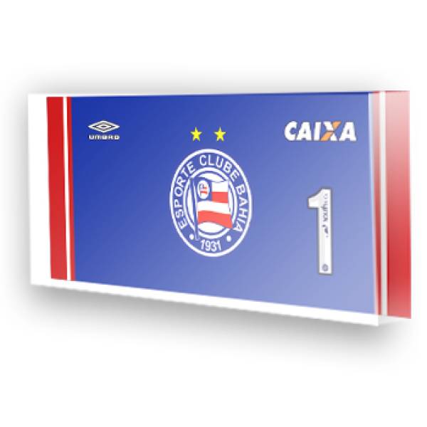 Goleiro do Bahia - 2017