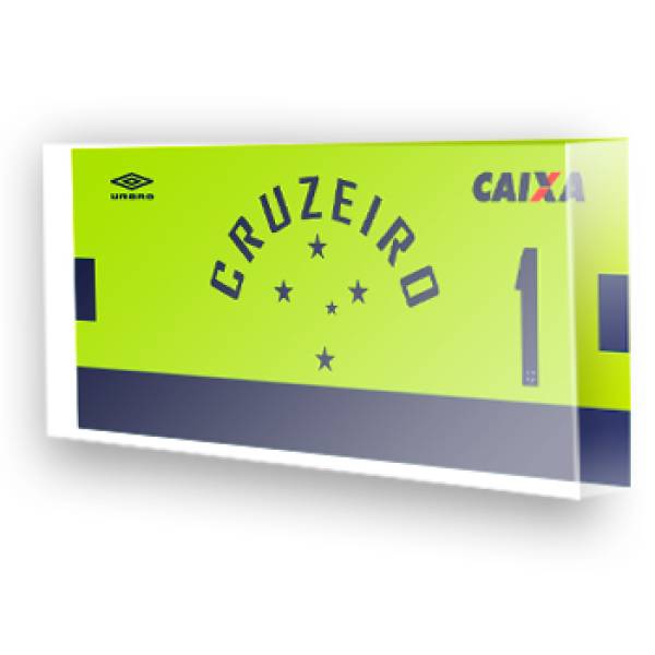 Goleiro do Cruzeiro - 2017