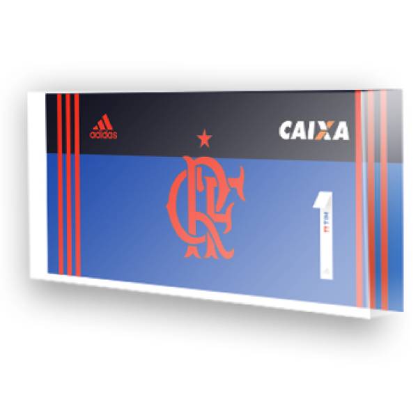 Goleiro do Flamengo - 2017