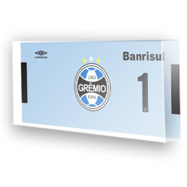 Goleiro do Grêmio - 2017