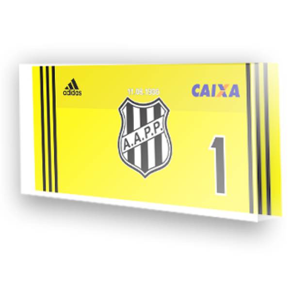 Goleiro da Ponte Preta - 2017