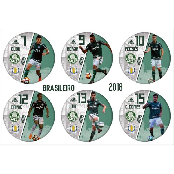 Jogo do Palmeiras - Campeão Brasileiro 2018