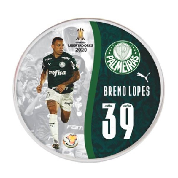 Jogo do Palmeiras - Campeão Libertadores - 2020