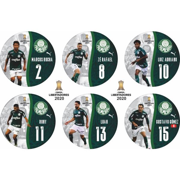 Jogo do Palmeiras - Campeão Libertadores - 2020