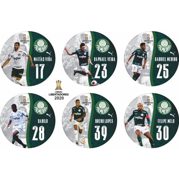 Jogo do Palmeiras - Campeão Libertadores - 2020
