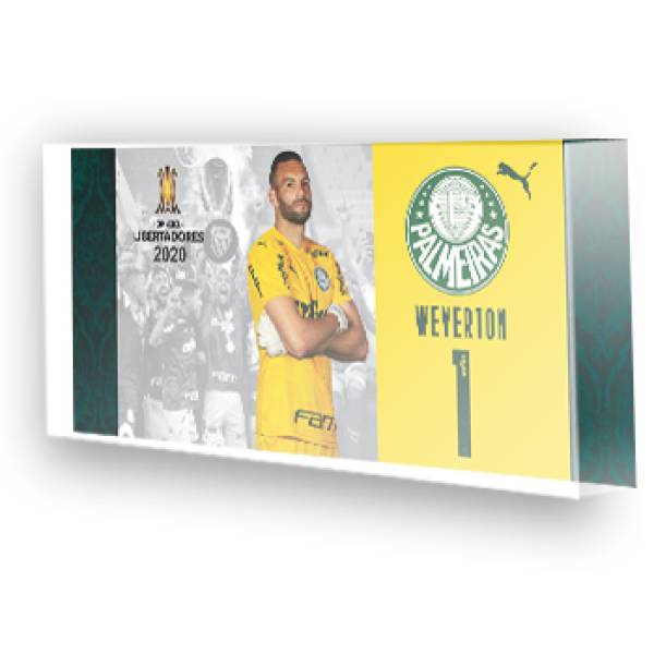 Jogo do Palmeiras - Campeão Libertadores - 2020