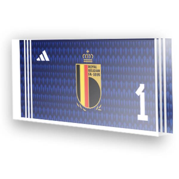 Goleiro da Bélgica - 2022