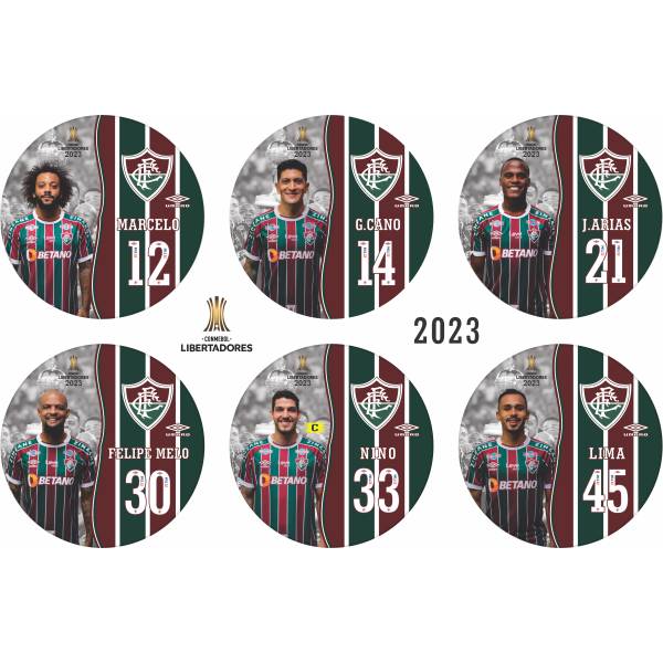 Jogo do Fluminense - Campeão Libertadores - 2023