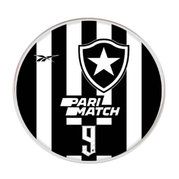 Jogo do Botafogo