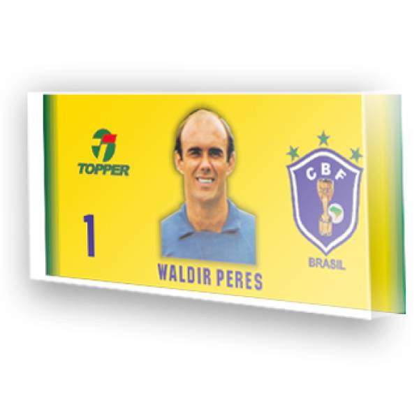 Goleiro Seleção Brasil - Waldir Peres