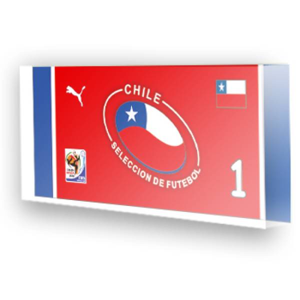 Goleiro Seleção do Chile