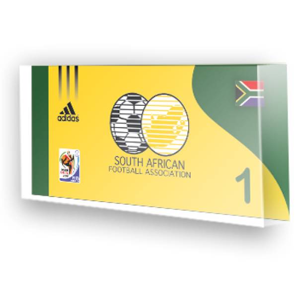Goleiro Seleção da Africa do Sul