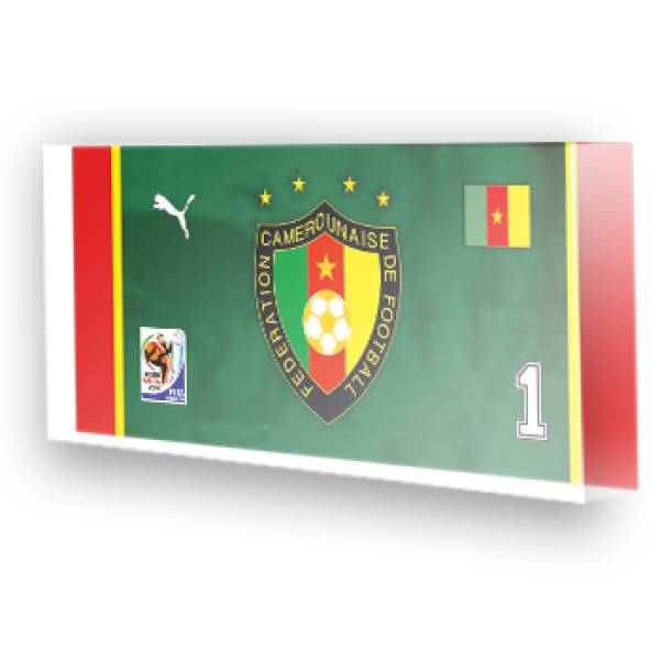 Goleiro Seleção de Camarões