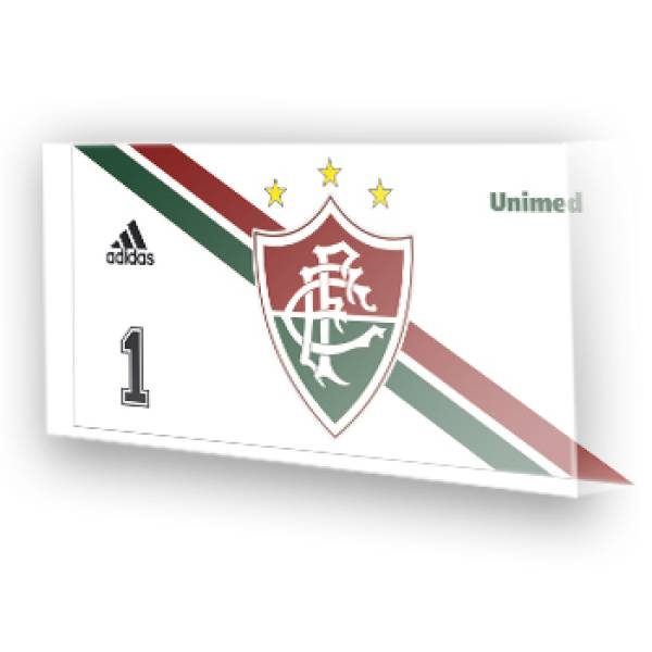 Goleiro do Fluminense 2