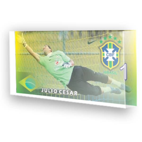 Goleiro do Brasil - Julio Cersar
