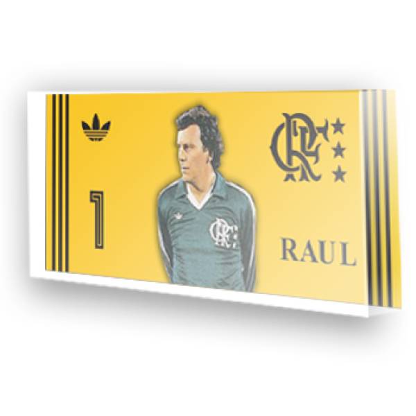 Goleiro do Flamengo - Raul mundial 81 