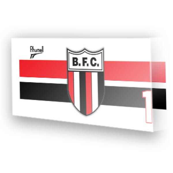 Goleiro do Botafogo - SP