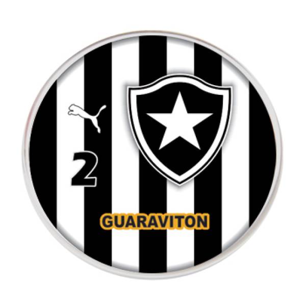 Jogo do Botafogo - 2012
