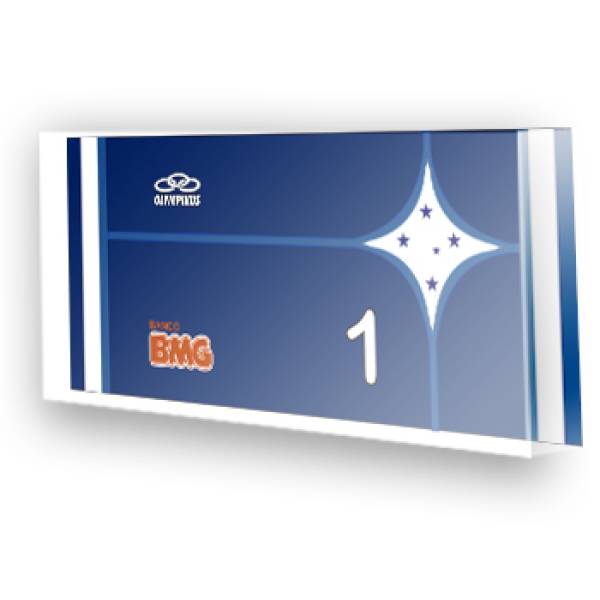 Goleiro do Cruzeiro - 2013