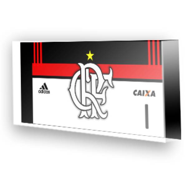 Goleiro do Flamengo 2 2013