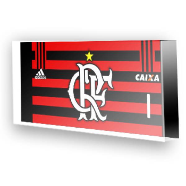 Goleiro do Flamengo  2013