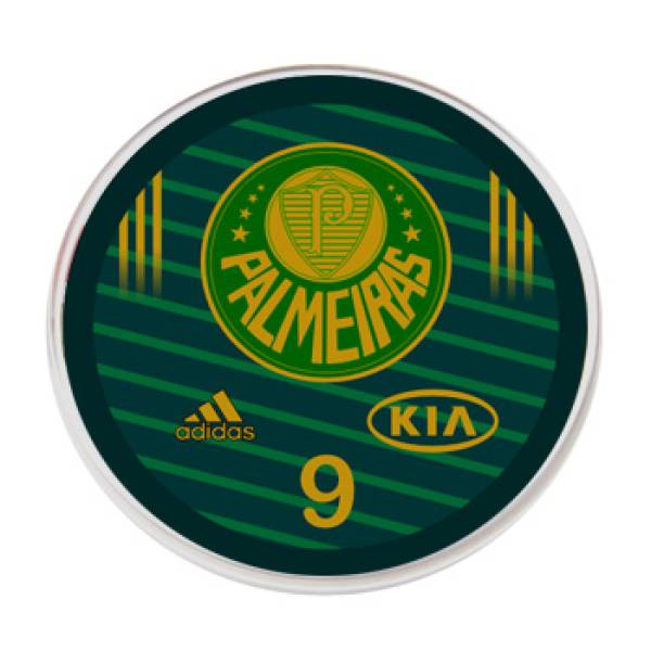 Jogo do Palmeiras - 2013