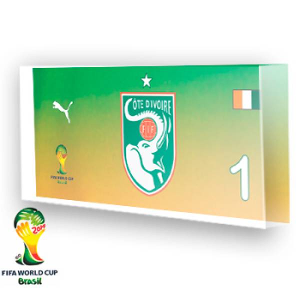 Goleiro da Costa do Marfim - 2014