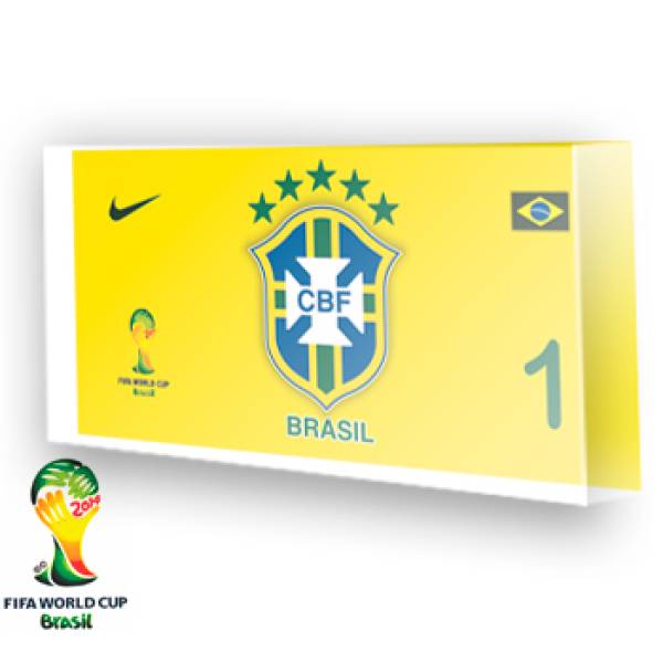 Goleiro do Brasil - 2014