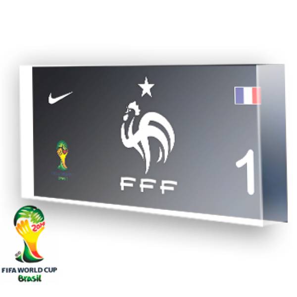 Goleiro da França - 2014