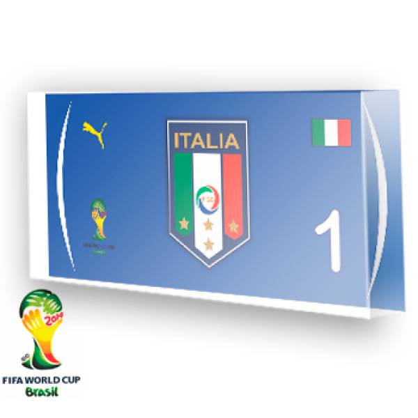 Goleiro da Itália - 2014