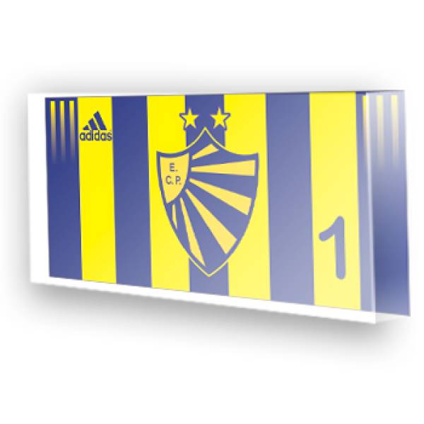 Goleiro do Esporte Clube Pelotas