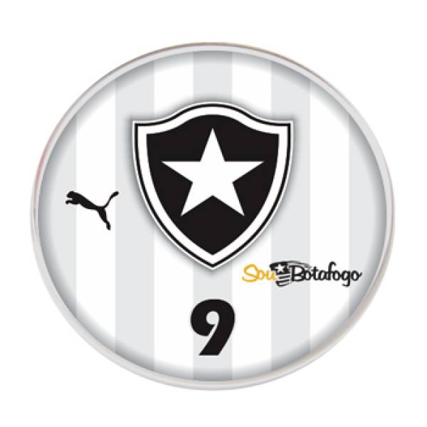 Jogo do Botafogo 3 - 2015