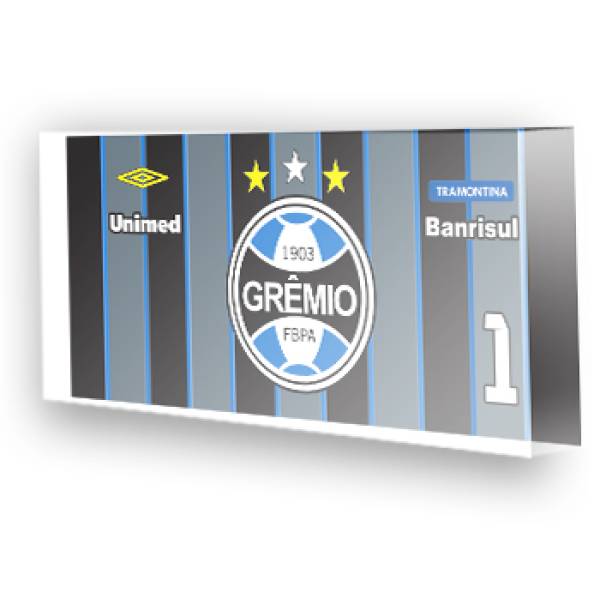 Goleiro do Grêmio - 2015