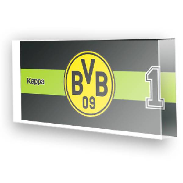 Goleiro do Borussia Dortmund
