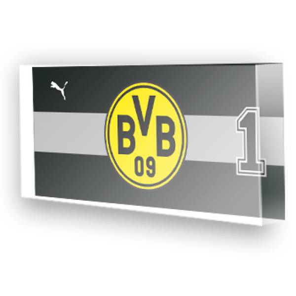 Goleiro do Borussia Dortmund 