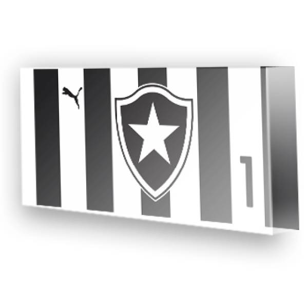 Goleiro do Botafogo