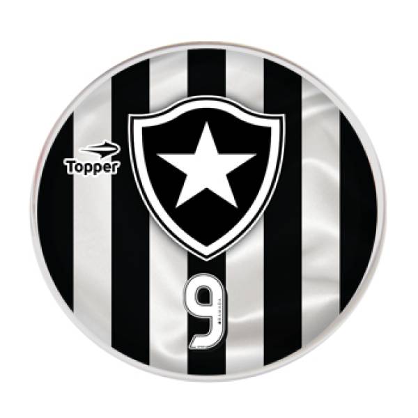 Jogo do Botafogo - 2016
