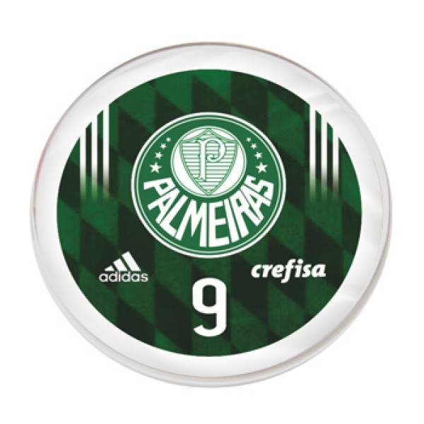 Jogo do Palmeiras - 2016