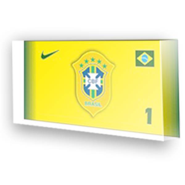 Goleiro da seleção do Brasil