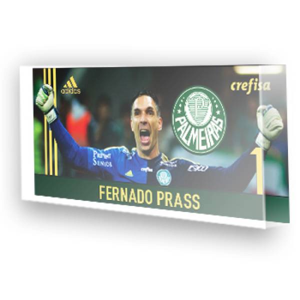 Goleiro do Palmeiras - Fernando Prass