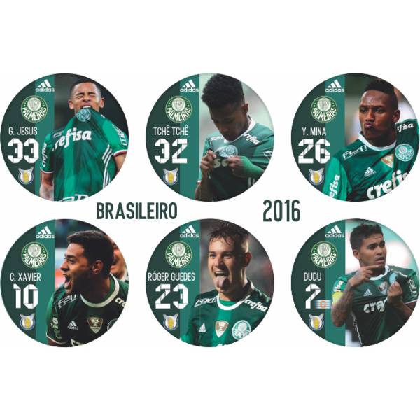 Jogo do Palmeiras - Campeão Brasileiro 2016