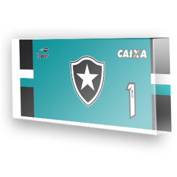 Goleiro do Botafogo - 2017