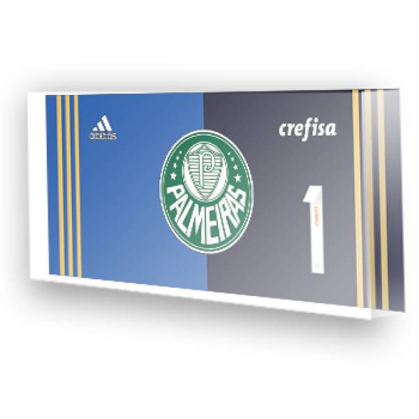 Goleiro do Palmeiras - 2017